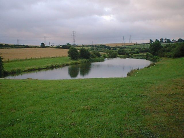 A pond